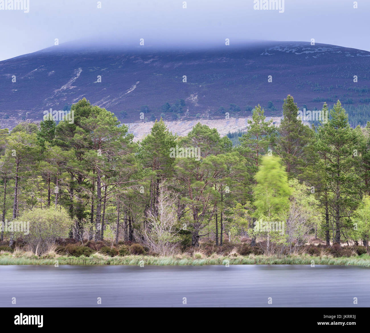 A landscape view of the Cairngorm National Park from across the water of Loch Morlich in the Highlands of Scotland Stock Photo