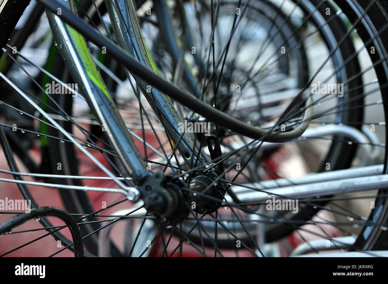 Bicycle spokes, wheels, tires Stock Photo Alamy