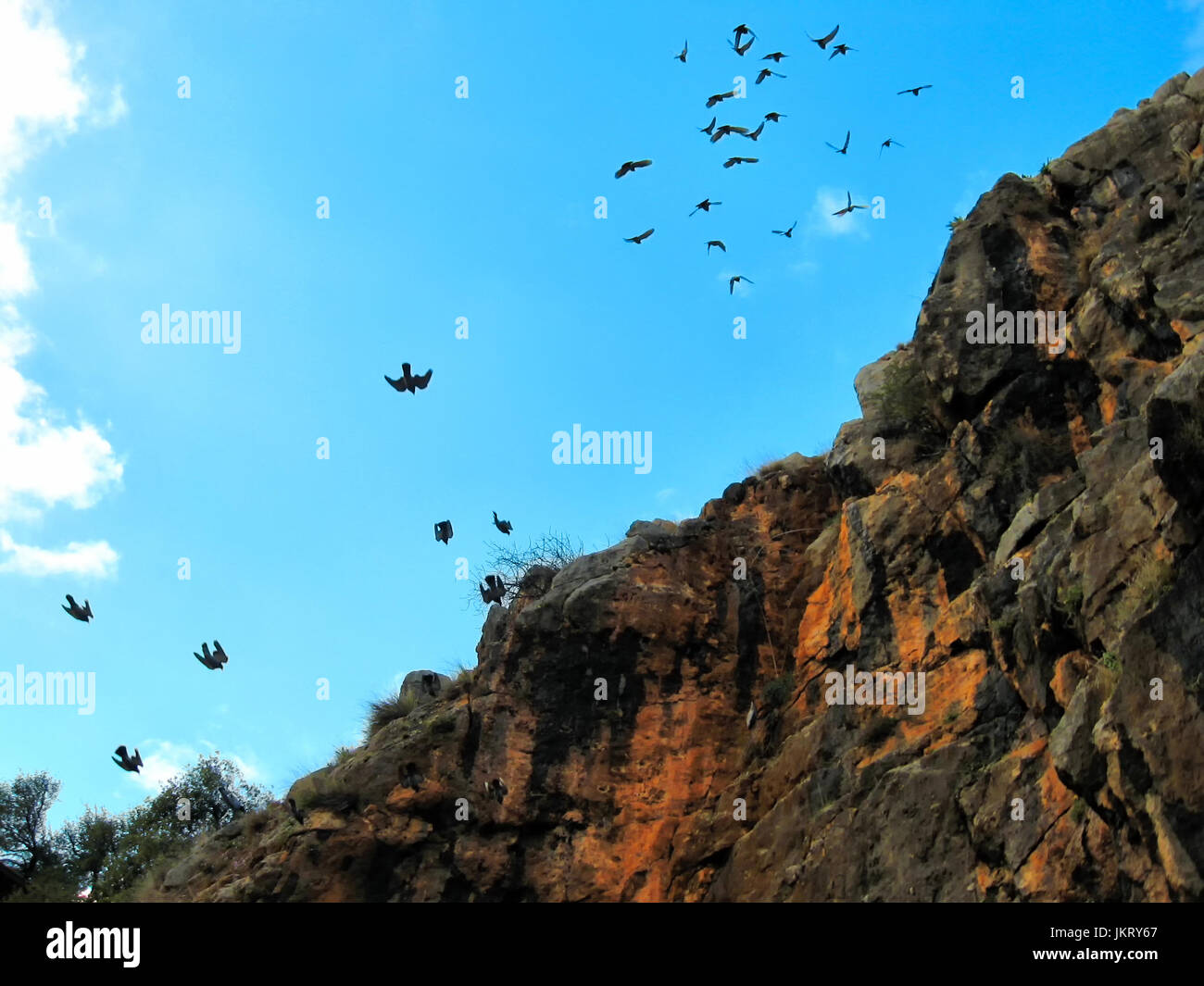 A flock of birds fly around a cave entrance on a cliff wall, silhouetted against a blue sky. Stock Photo