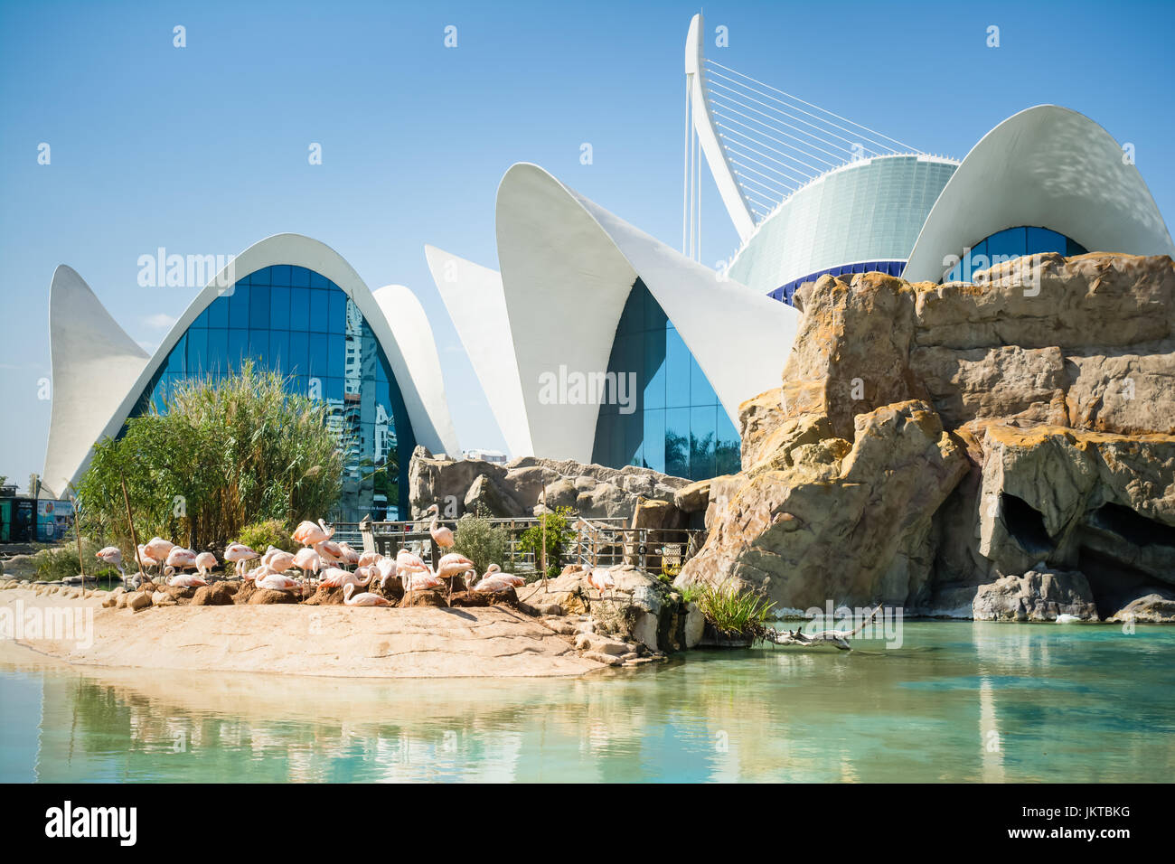 VALENCIA, SPAIN OCTOBER 2, 2015 Largest oceanographic aquarium in
