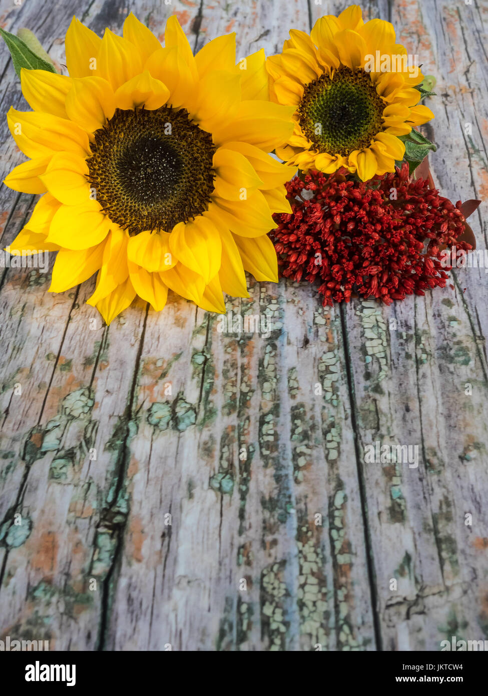 Autumnal background of wood with blooms at the top Stock Photo