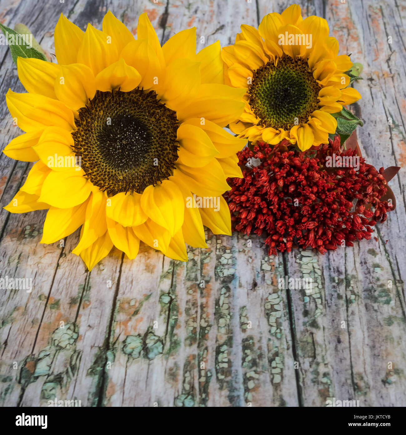 Autumnal background of wood with blooms at the top Stock Photo