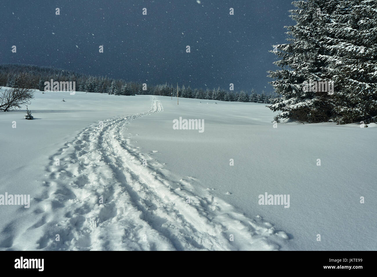 Buried under snow hi-res stock photography and images - Alamy