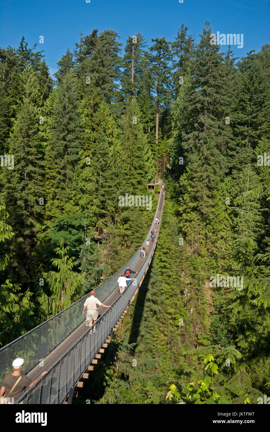 Capilano Suspension Bridge, Vancouver, British Columbia, Canada Stock