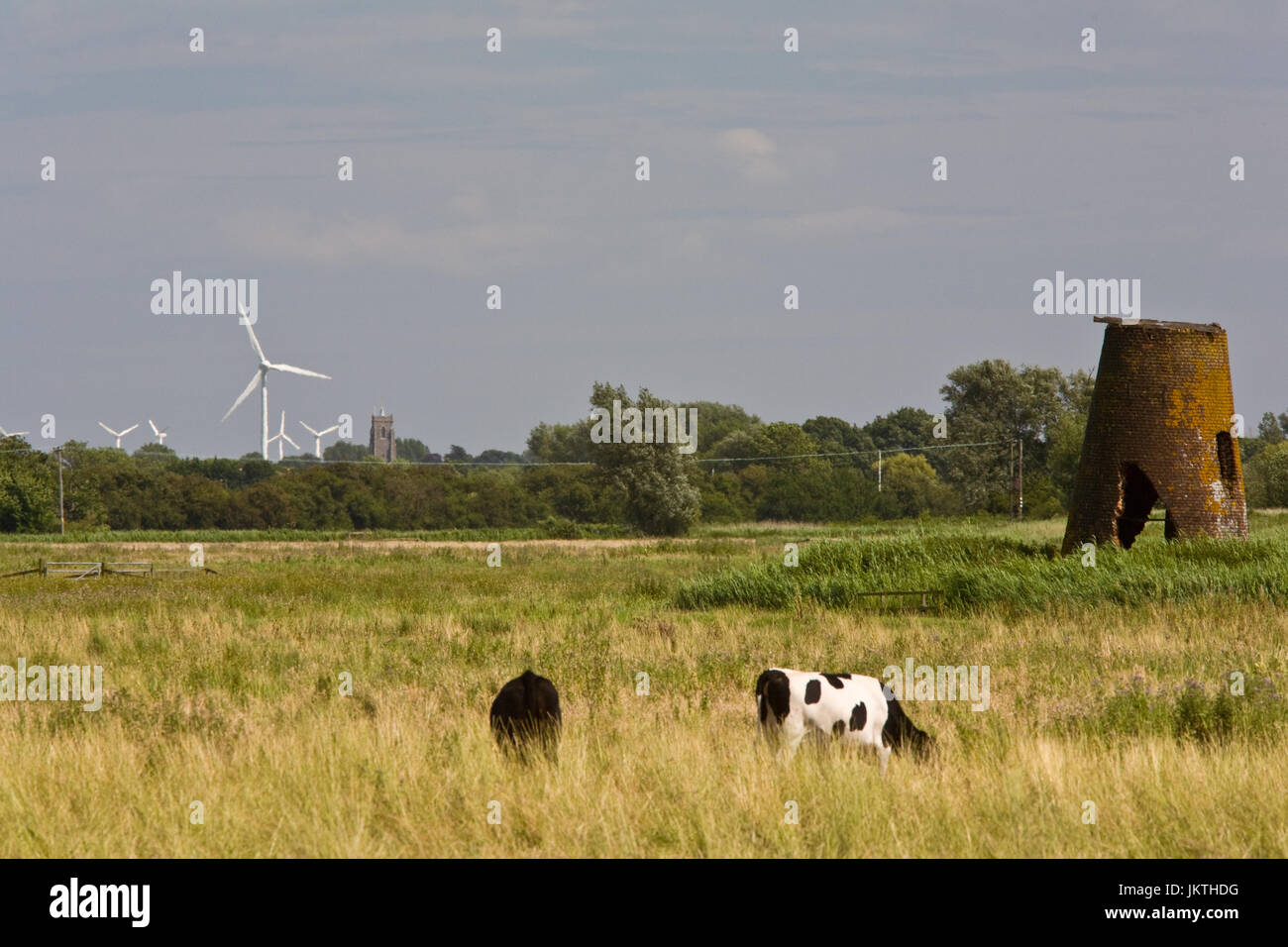 Derelict windmill and windfarms, Norfolk Broads Stock Photo Alamy