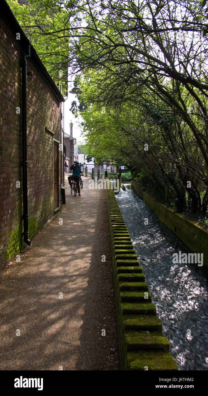 Walkway by old mill, Wheathampstead, Hertfordshire, UK Stock Photo