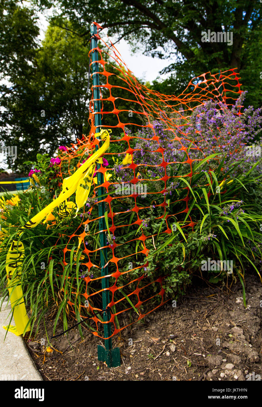 Flowers that were bound by orange caution tape to make an abstract colorful scene. Stock Photo