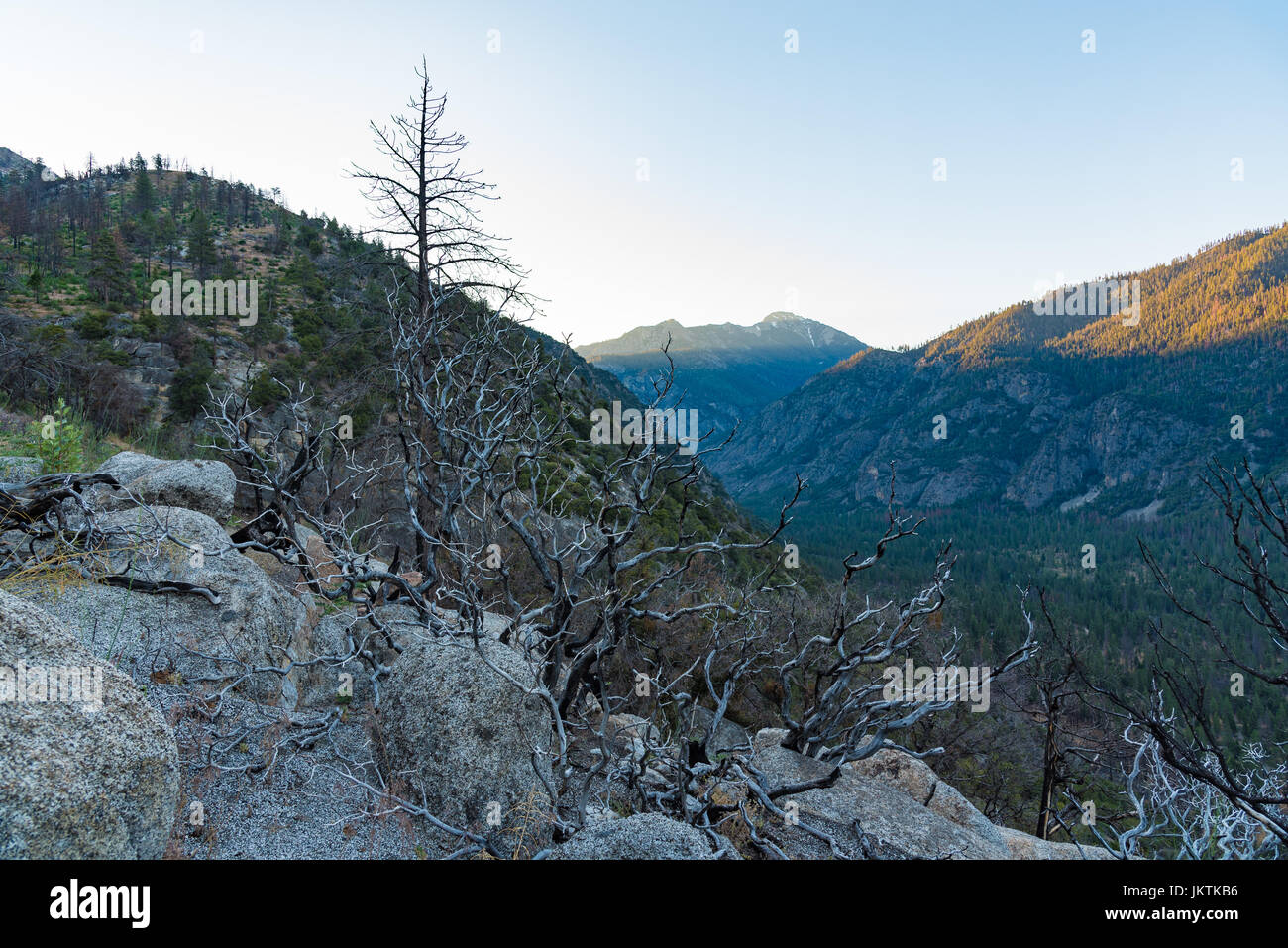 Dawn at the valley of Kings Canyon, taken near Cedar Grove Stock Photo