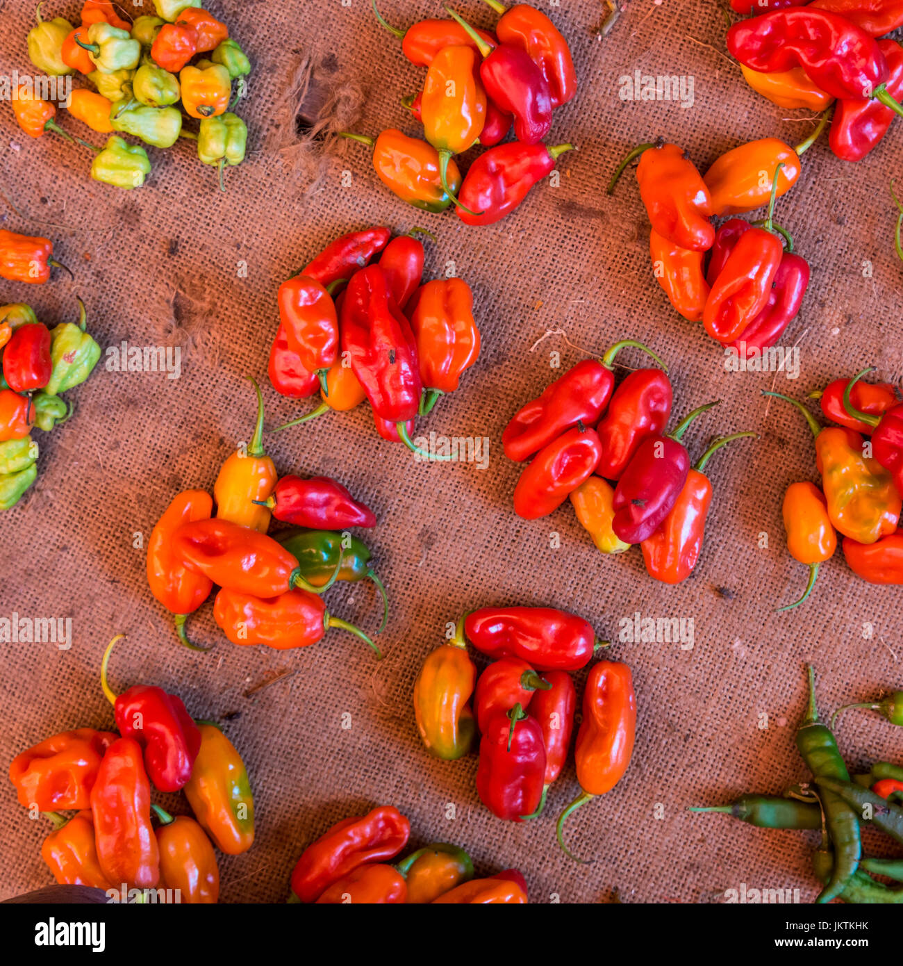 Red paprika being sold at local food market Stock Photo Alamy