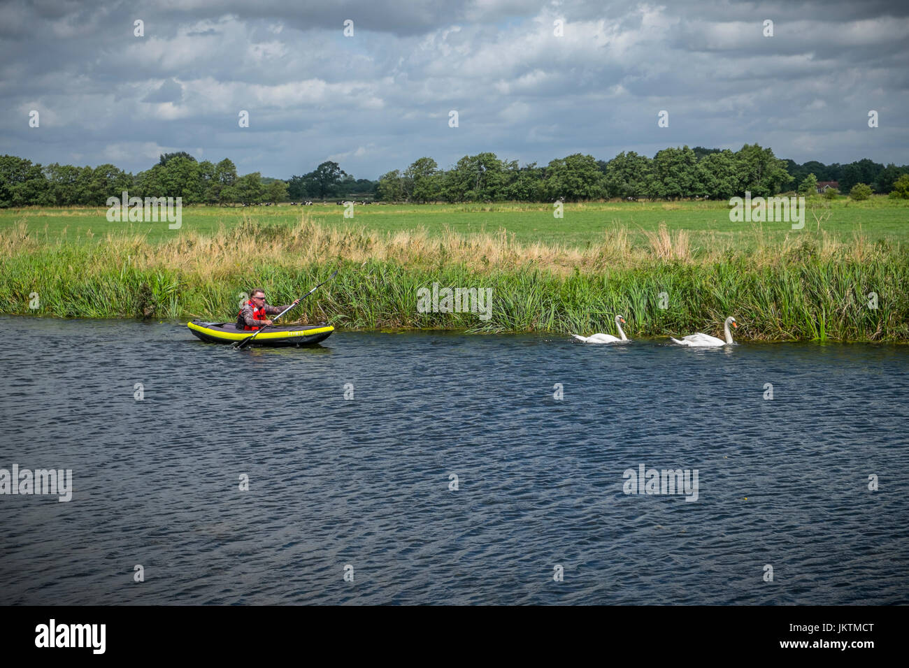 Canoeing an inflateable canoe on the river Waveney, Geldeston Lock, Norfolk, East Anglia, lead by two swans. Stock Photo