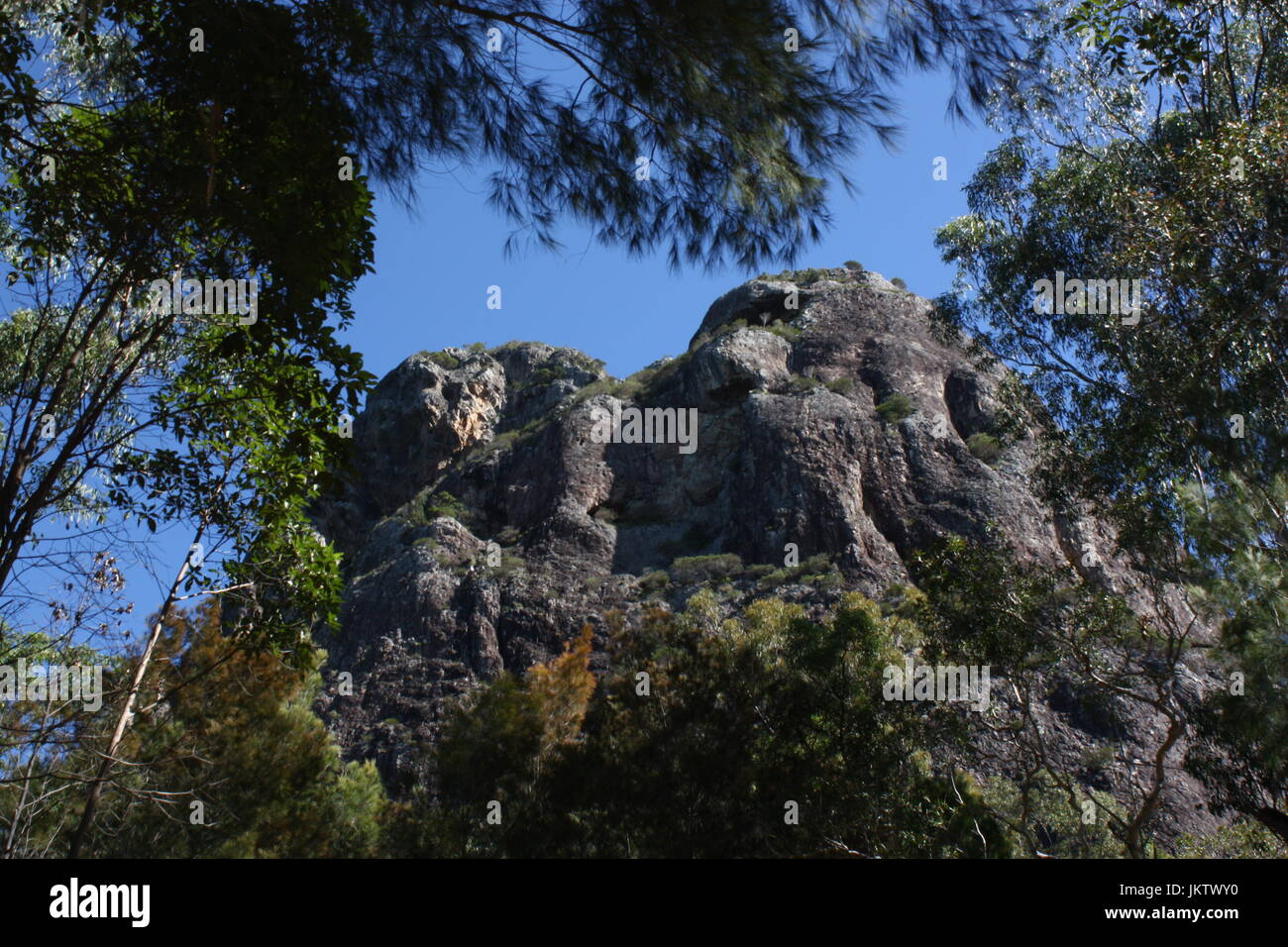 Australian volcanic plug Mount Beerwah in Glass House Mountains
