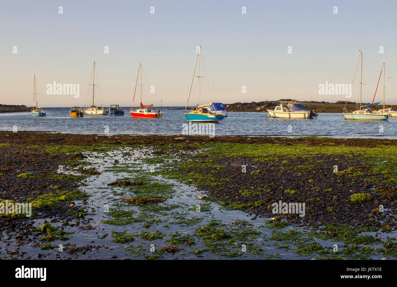 Boats on their moorings beside Cockle Island in the natural tidal harbour at Groomsport in Co Down,Northern Ireland with  Belfast Lough in the backgro Stock Photo