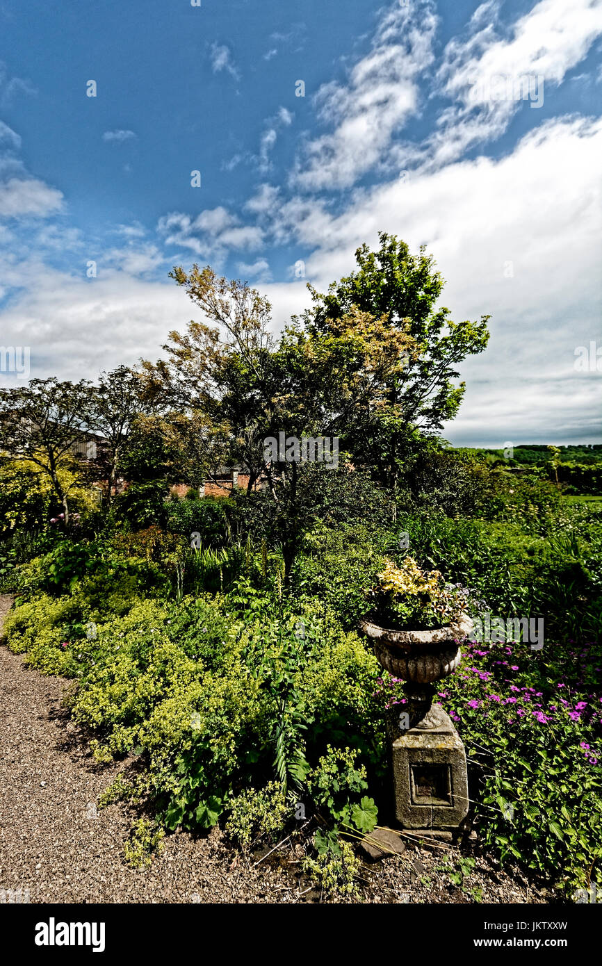 Abbey Dore Court Garden is in glorious Herefordshire and is a beautiful