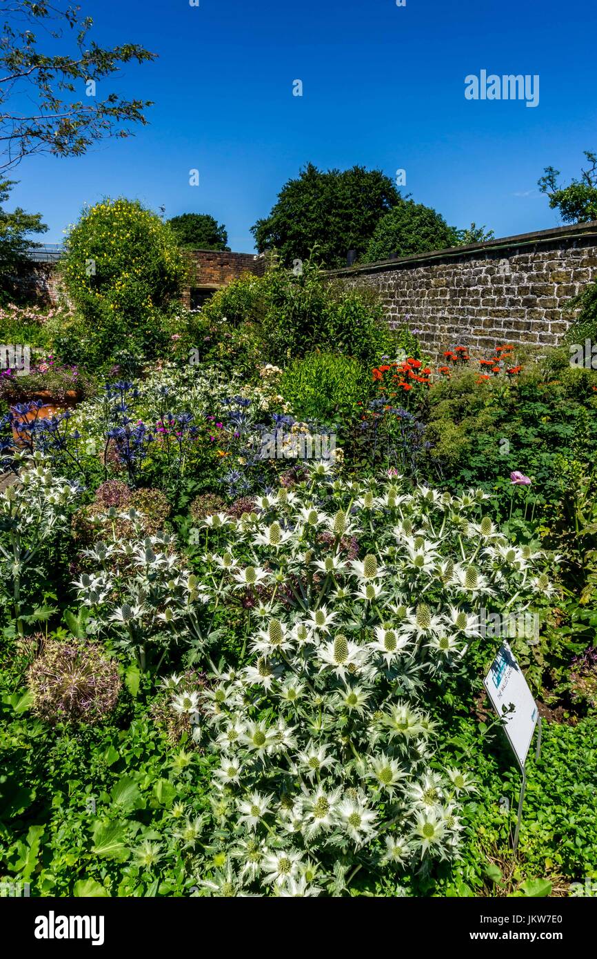 Manor heath park halifax hires stock photography and images Alamy