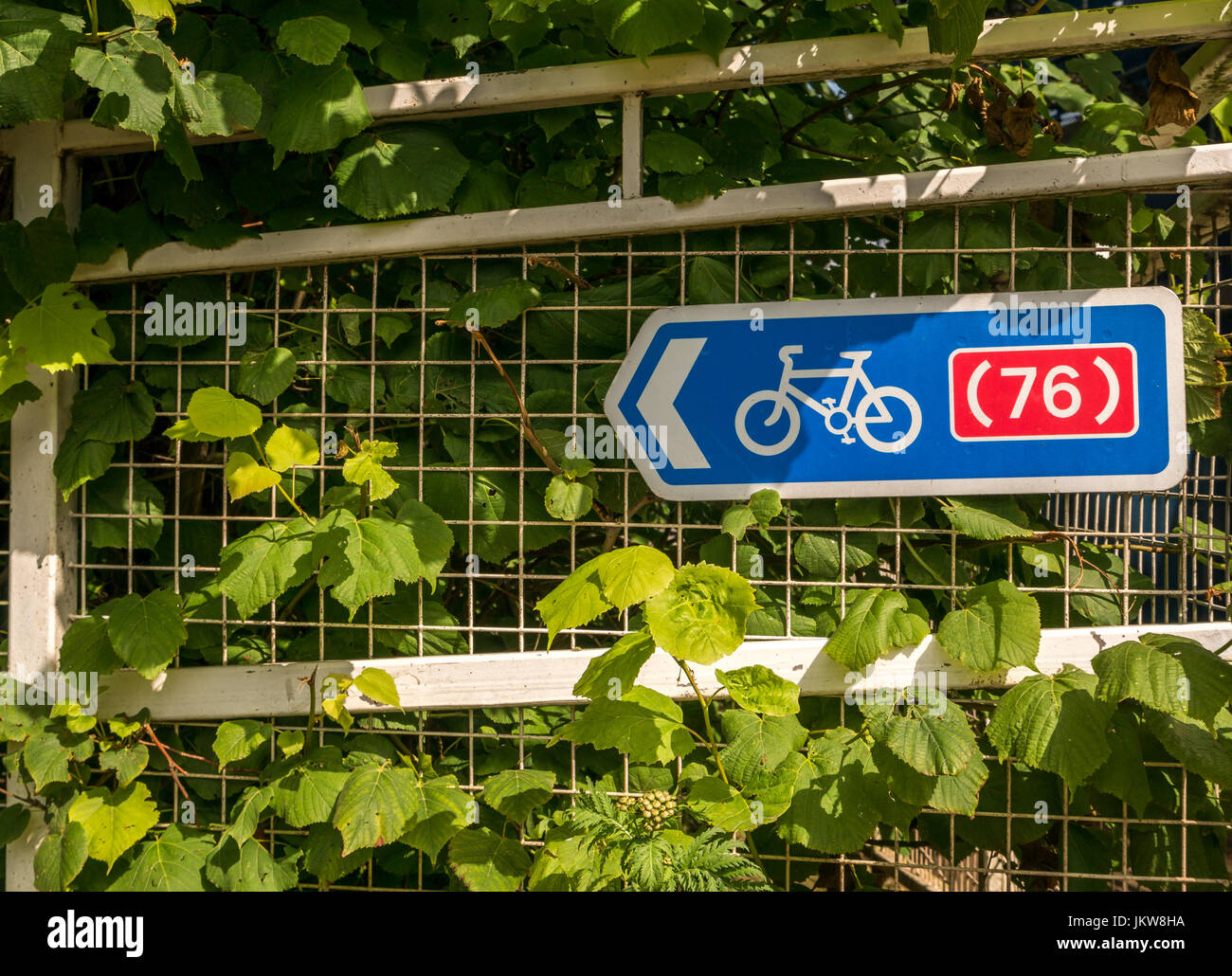 Close up of white fence with cycle route 76 sign on riverside path, Haddington, East Lothian, Scotland, UK, in Summer Stock Photo