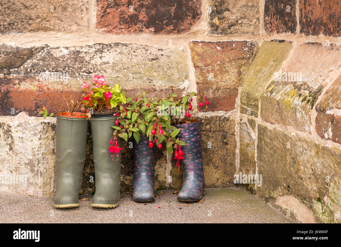 Pairs of wellingtons used as unusual plant pot containers outside old church, St Mary’s Church, Haddington, East Lothian, Scotland, UK Stock Photo