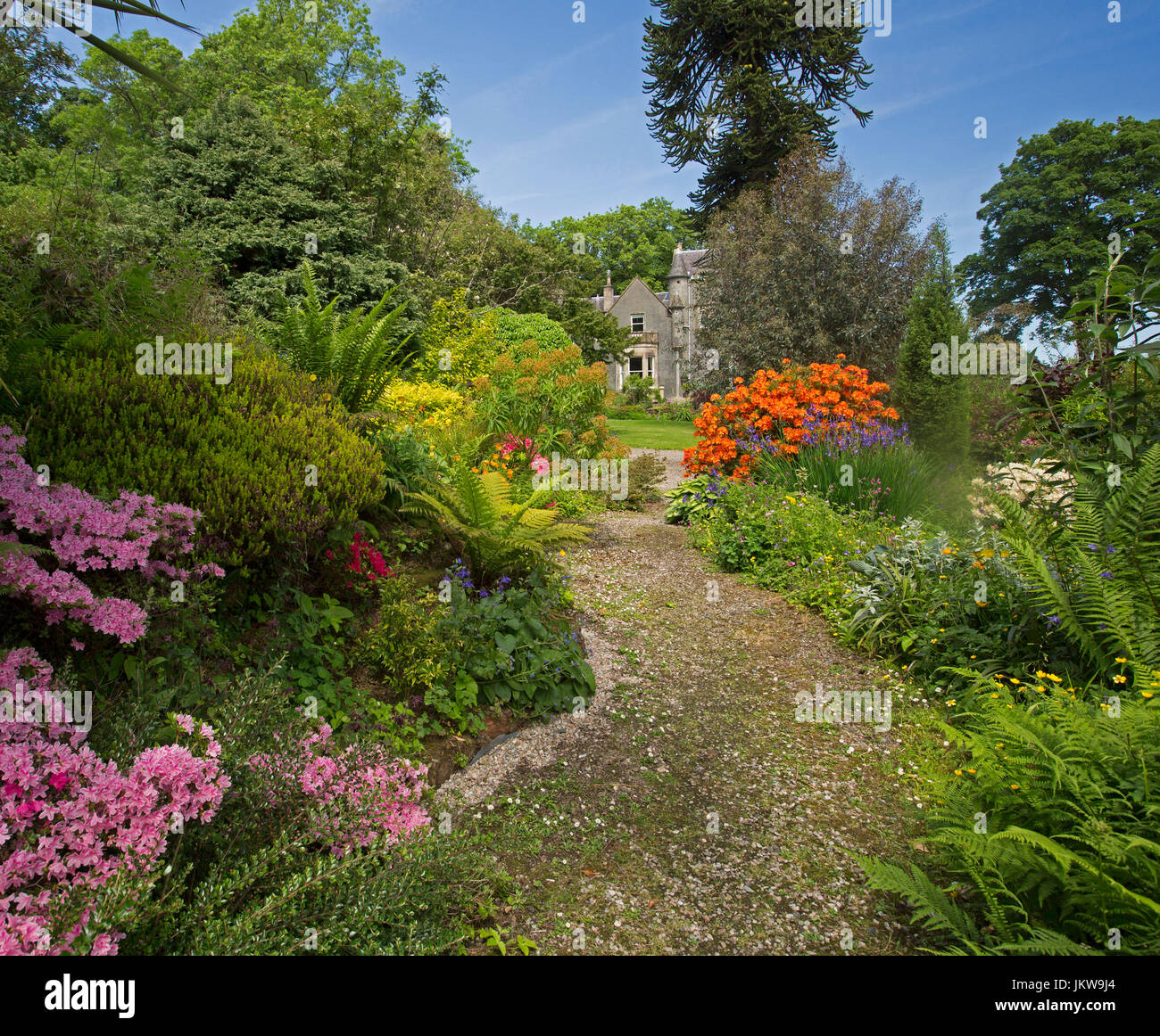My Image 22
