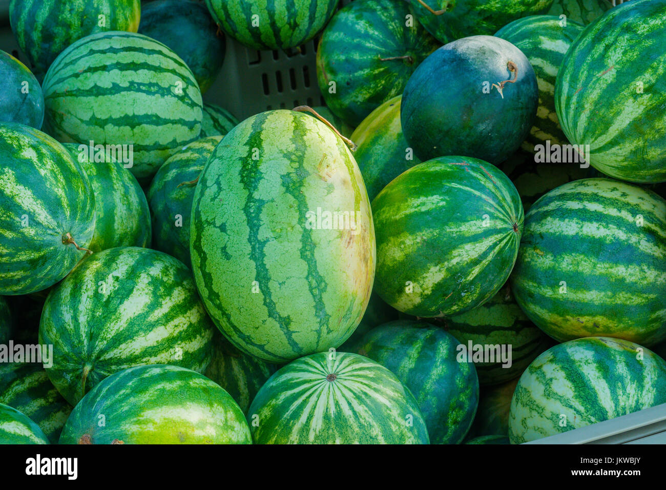 Fresh melon for sale hires stock photography and images Alamy