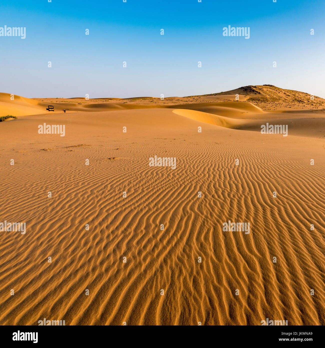 Sand Dunes in early morning light near Serra Cafema Camp in Namibia. Stock Photo