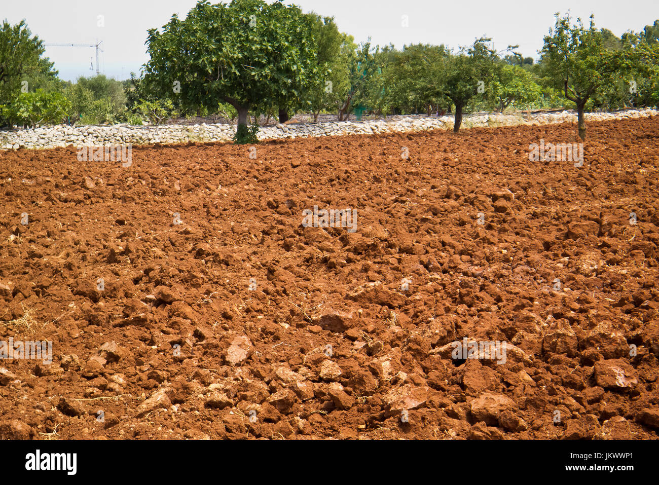 plowed land ready for sowing with stone wall simbol of mediterranean culture. Stock Photo