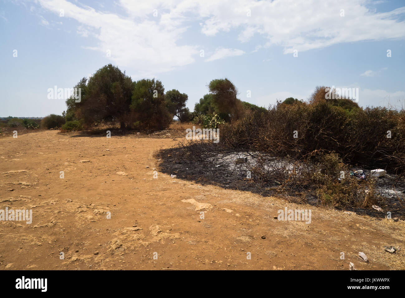 landscape of mediterranean plants burnt,dry soil from the sun in a warm july morning,after a fire. Stock Photo