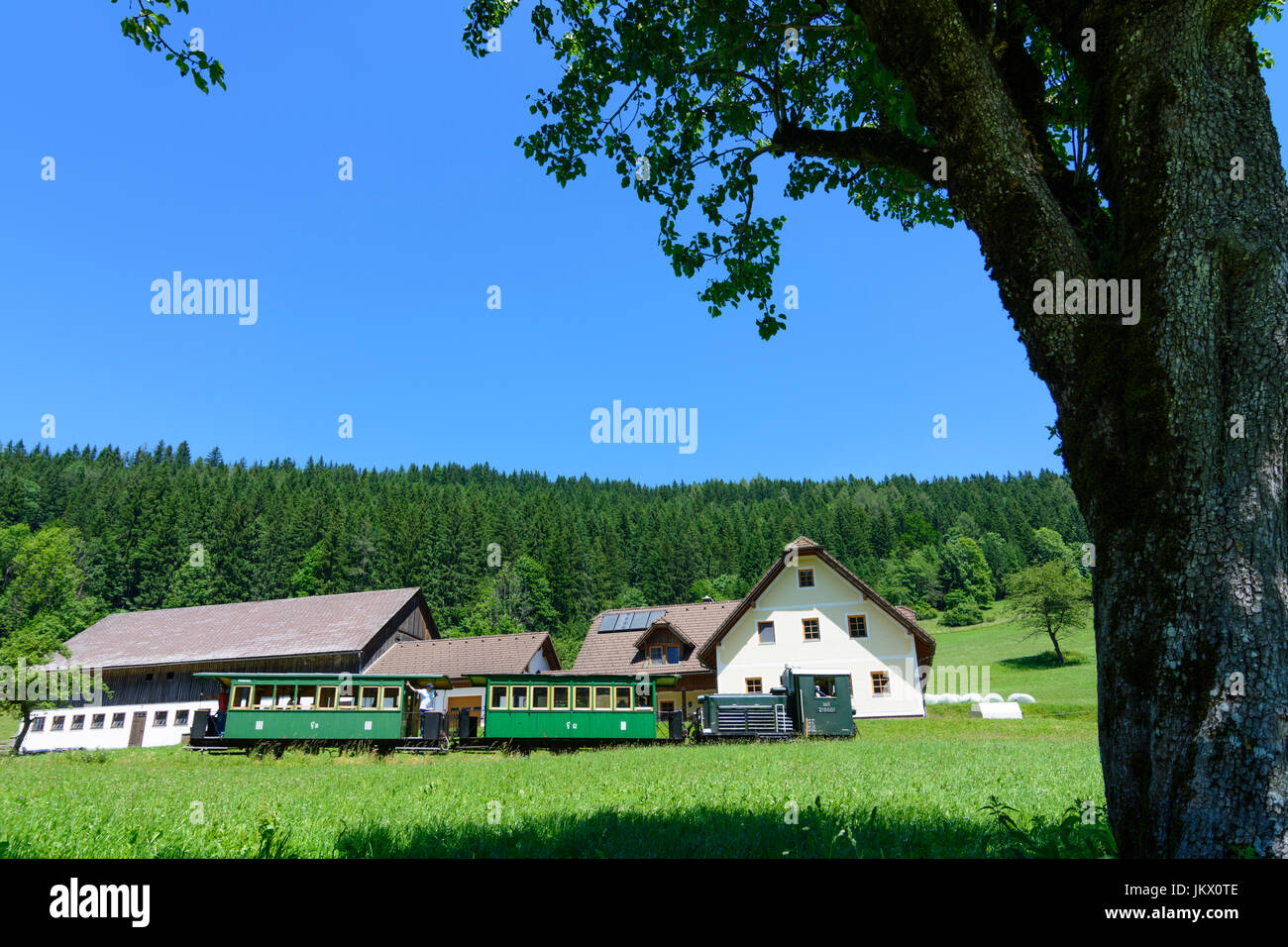 train of Ybbstalbahn (Ybbsthalbahn, Ybbs Valley Railway) in Pfaffenschlag, Lunz am See, Mostviertel, Niederösterreich, Lower Austria, Austria Stock Photo