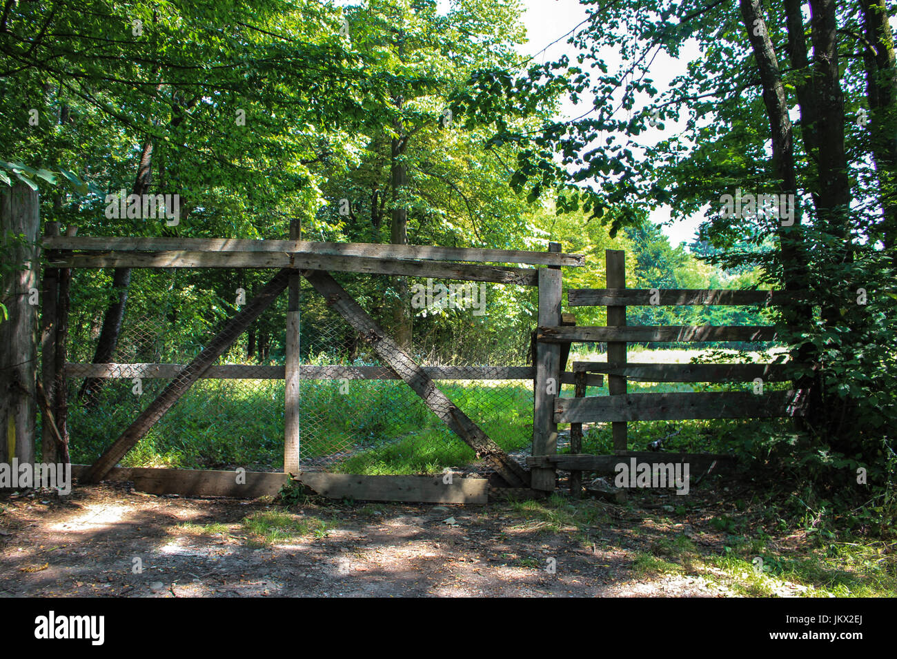 A gate made from wood and iron in the forest Stock Photo Alamy