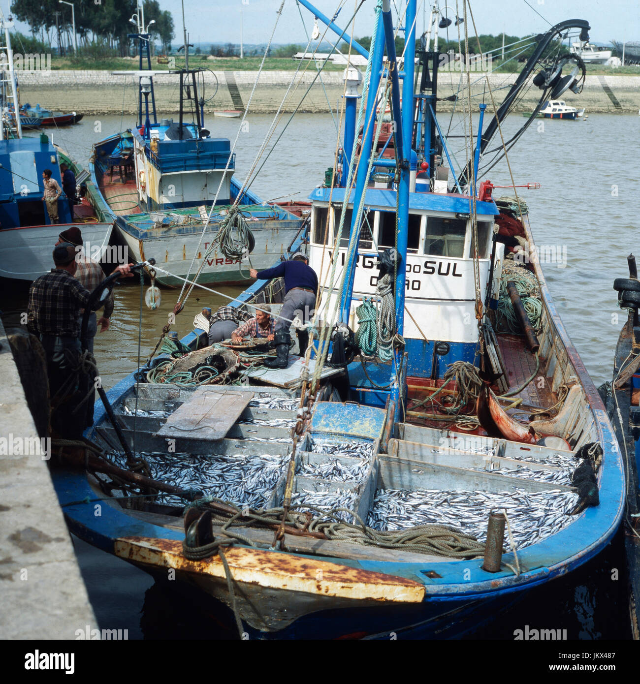 Ein Fischtrawler kommt mit seinem Fang frischer Sardinen in einen Hafen an der Algarve, Portugal 1980er Jahre. A fishing boat arriving at a harbor with fresh sardines, Portugal 1980s. Stock Photo