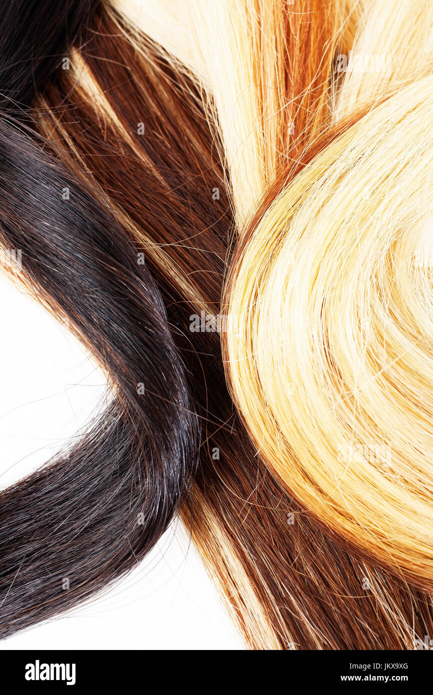 Human hair closeup. Brown black red blonde. Stock Photo