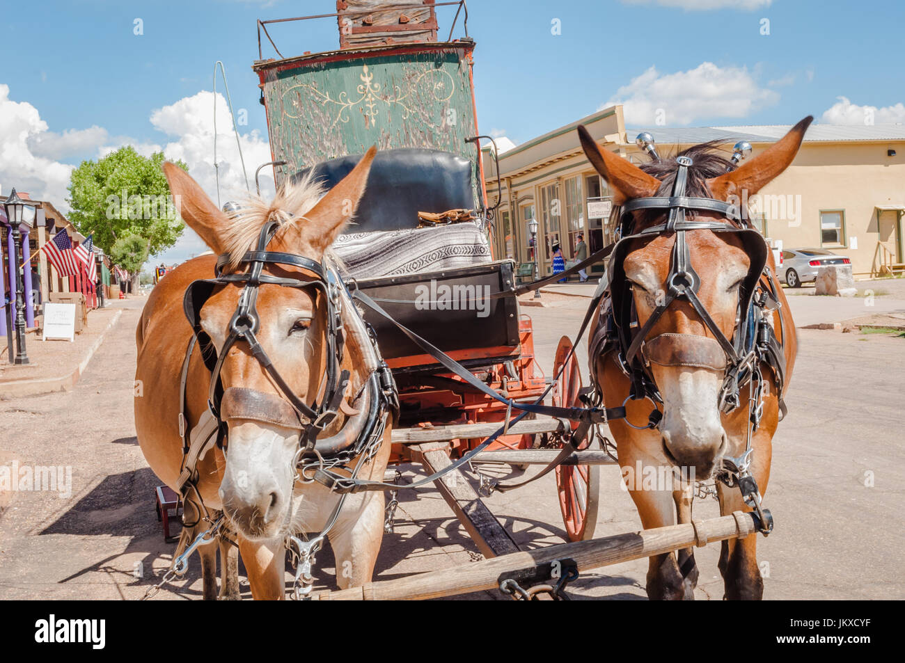 Mules pull stagecoach down Main Street in Tombstone Arizona Stock Photo