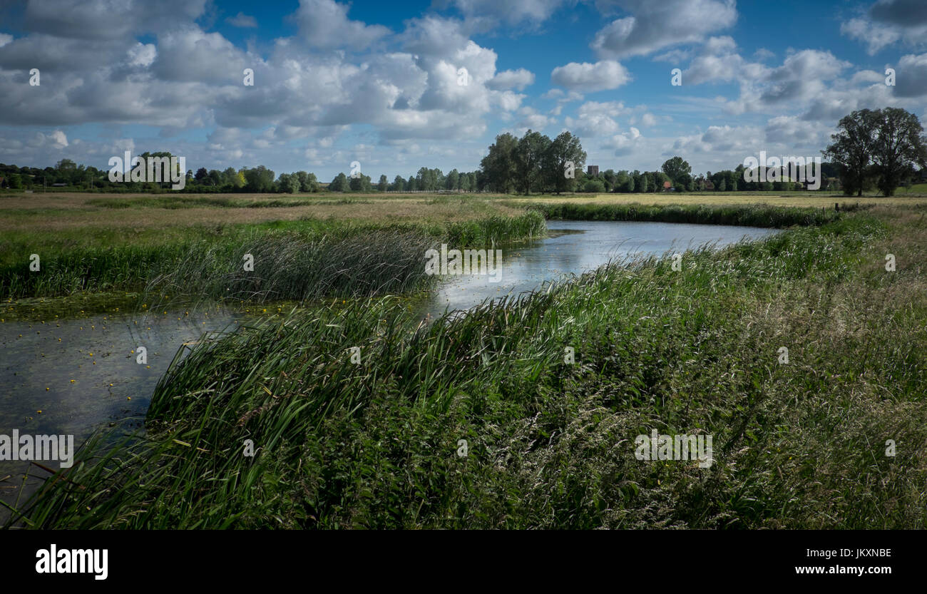 The River Waveney near Mendham, Suffolk. Norfolk (left bank) Suffolk