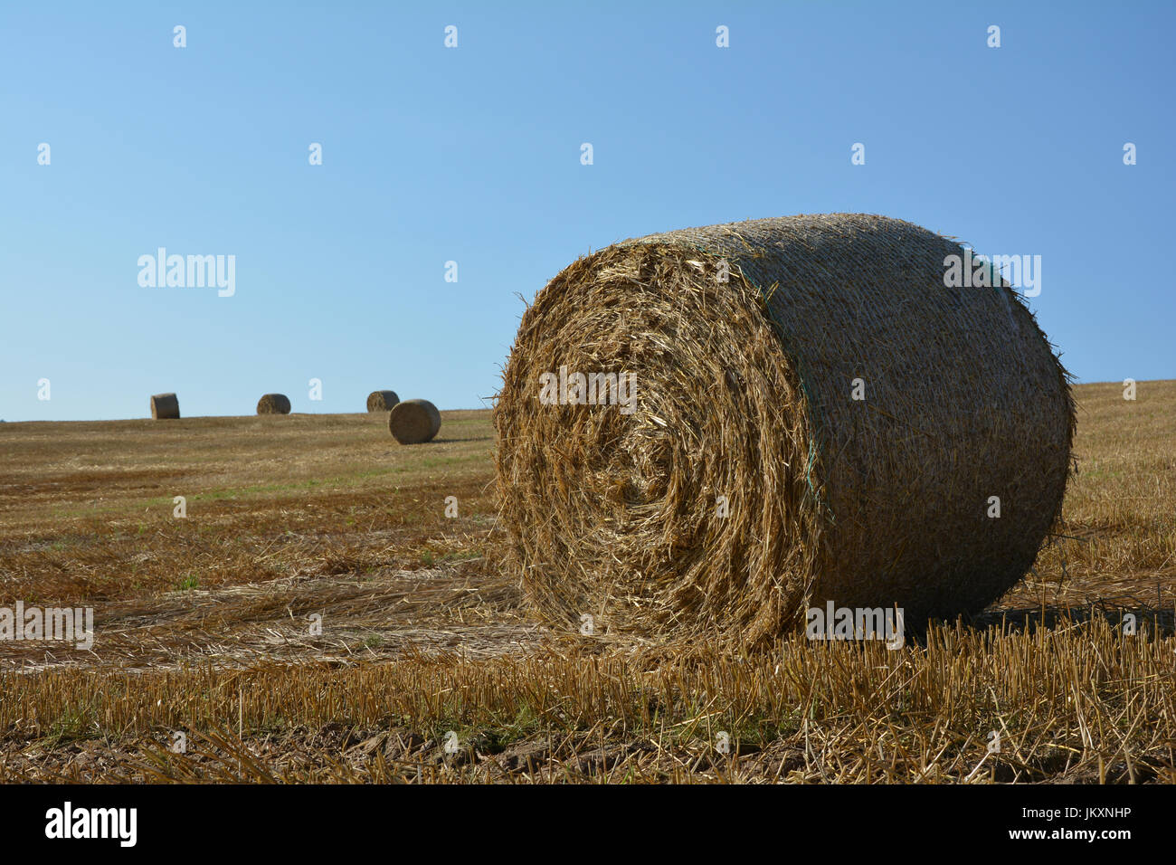 Straw bales on harvested field with blue sky Stock Photo - Alamy