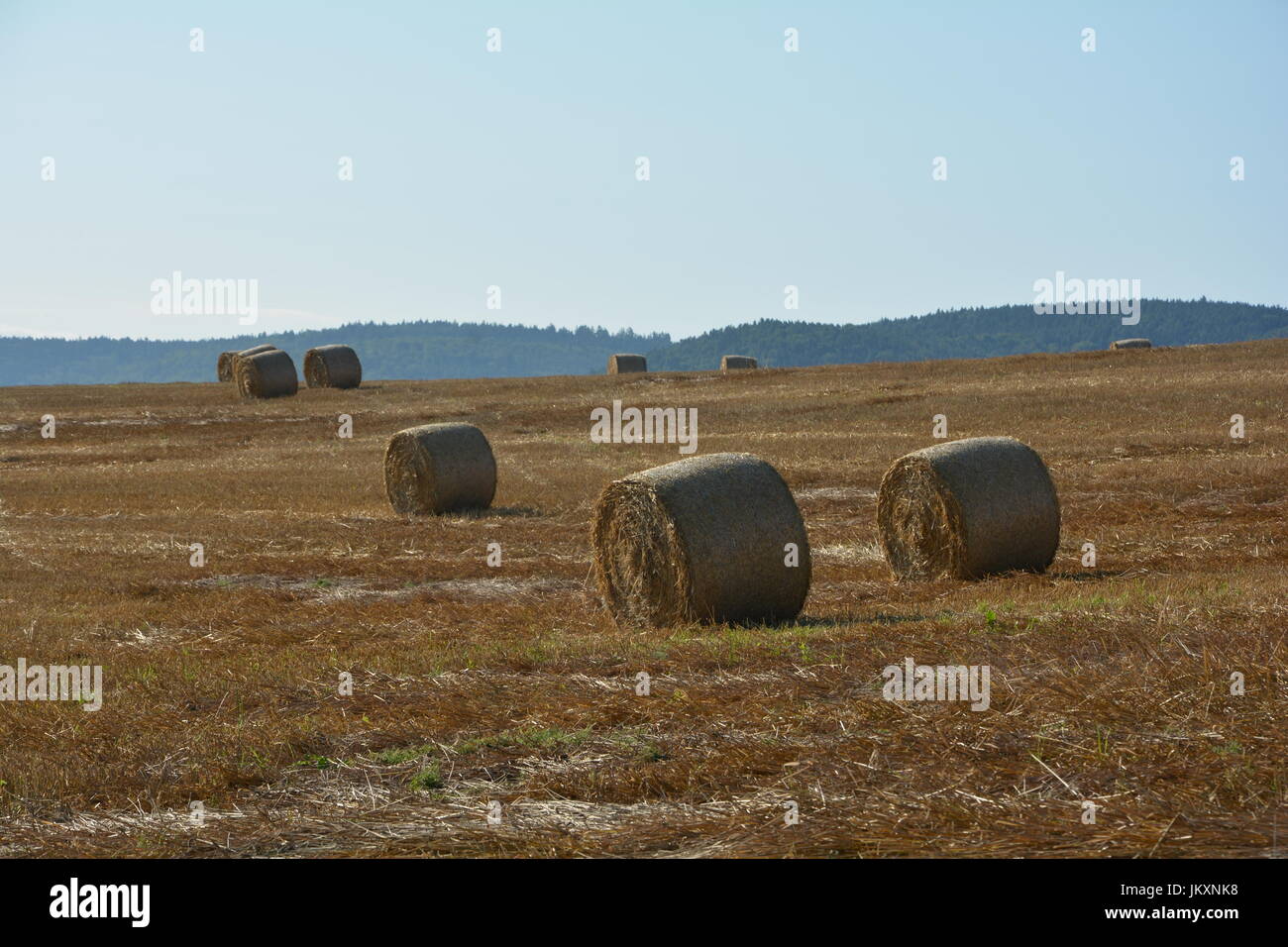 Straw bales on harvested field with blue sky Stock Photo - Alamy
