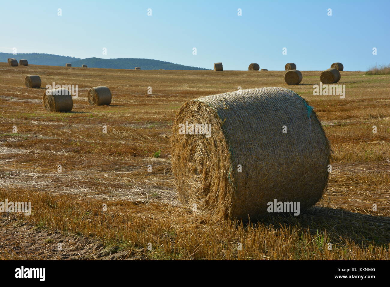 Straw bales on harvested field with blue sky Stock Photo - Alamy