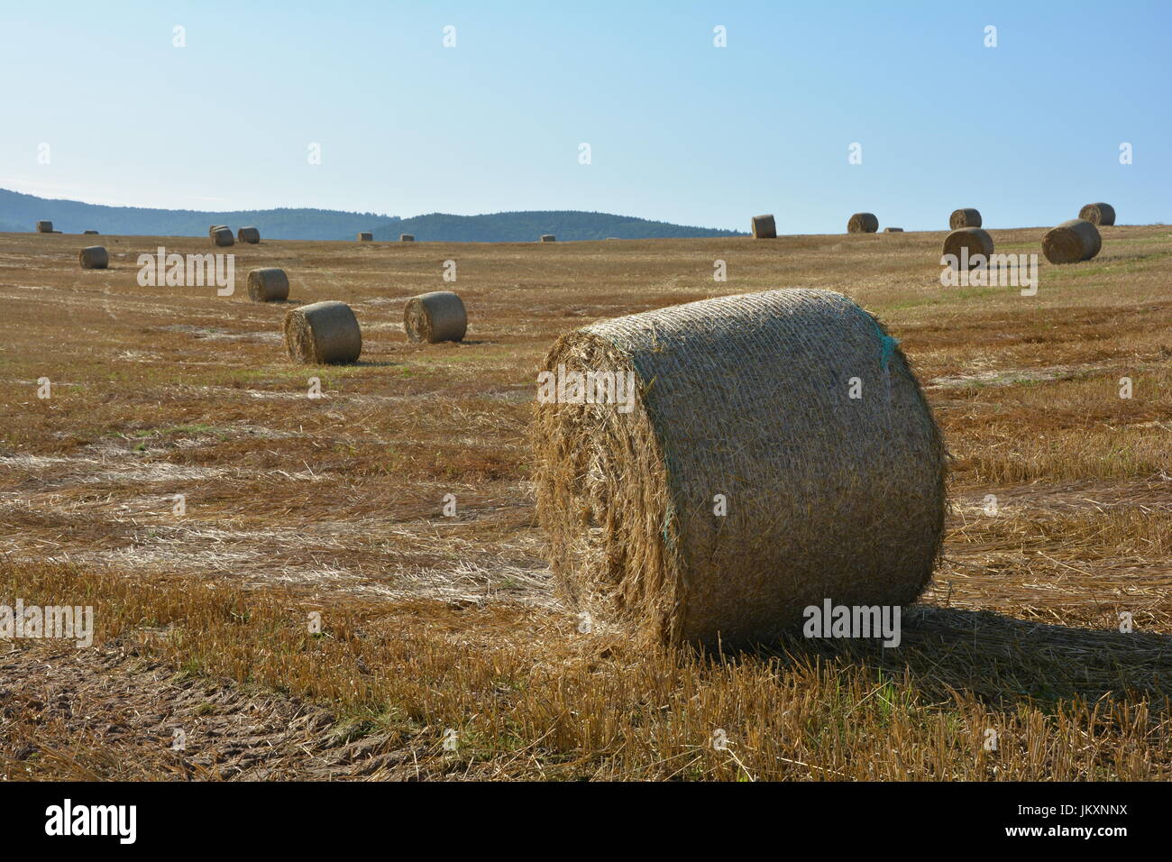 Hay bales on harvested field with blue sky Stock Photo - Alamy