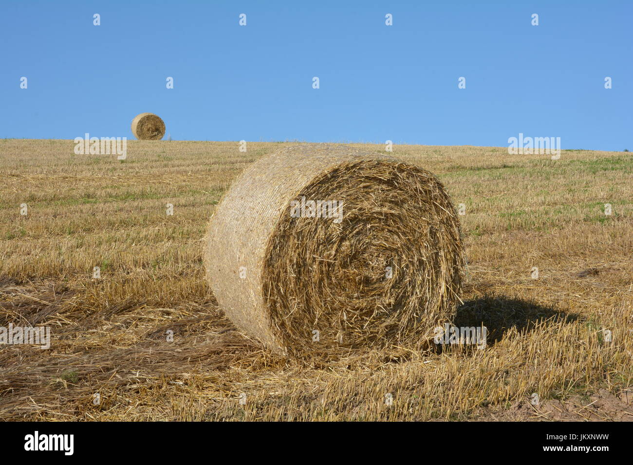 Straw bales on harvested field with a hay bales in horizon and blue sky ...