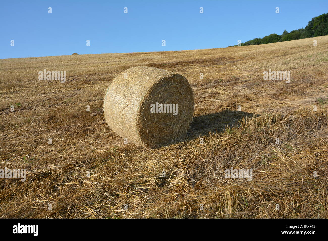 One Straw bales on harvested field with blue sky Stock Photo - Alamy