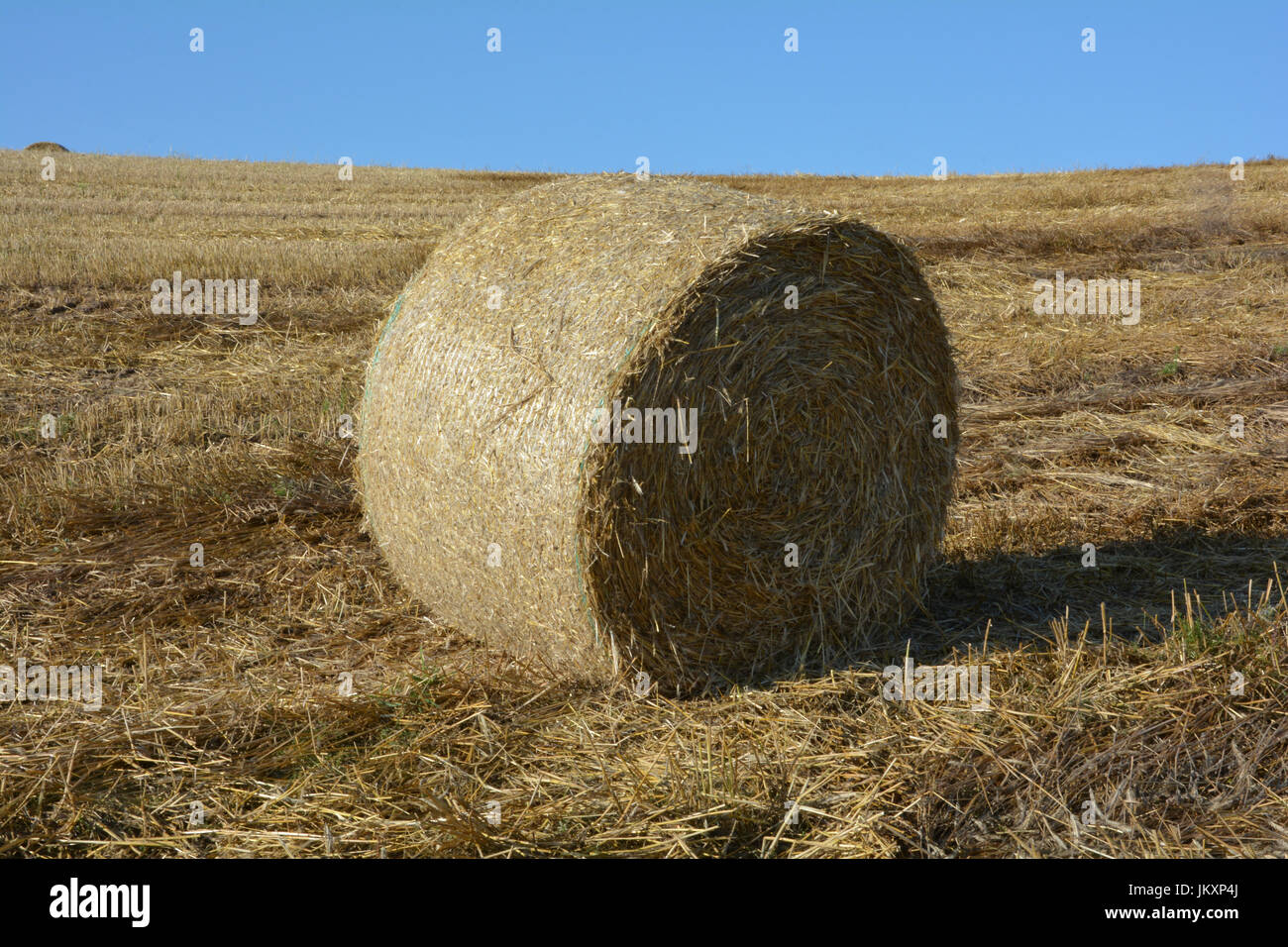 Straw bales on harvested field with blue sky Stock Photo - Alamy