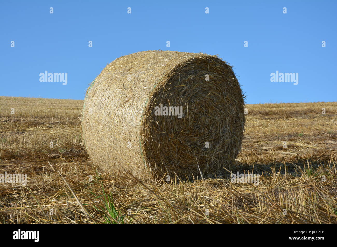 Hay bales on harvested field with blue sky Stock Photo - Alamy