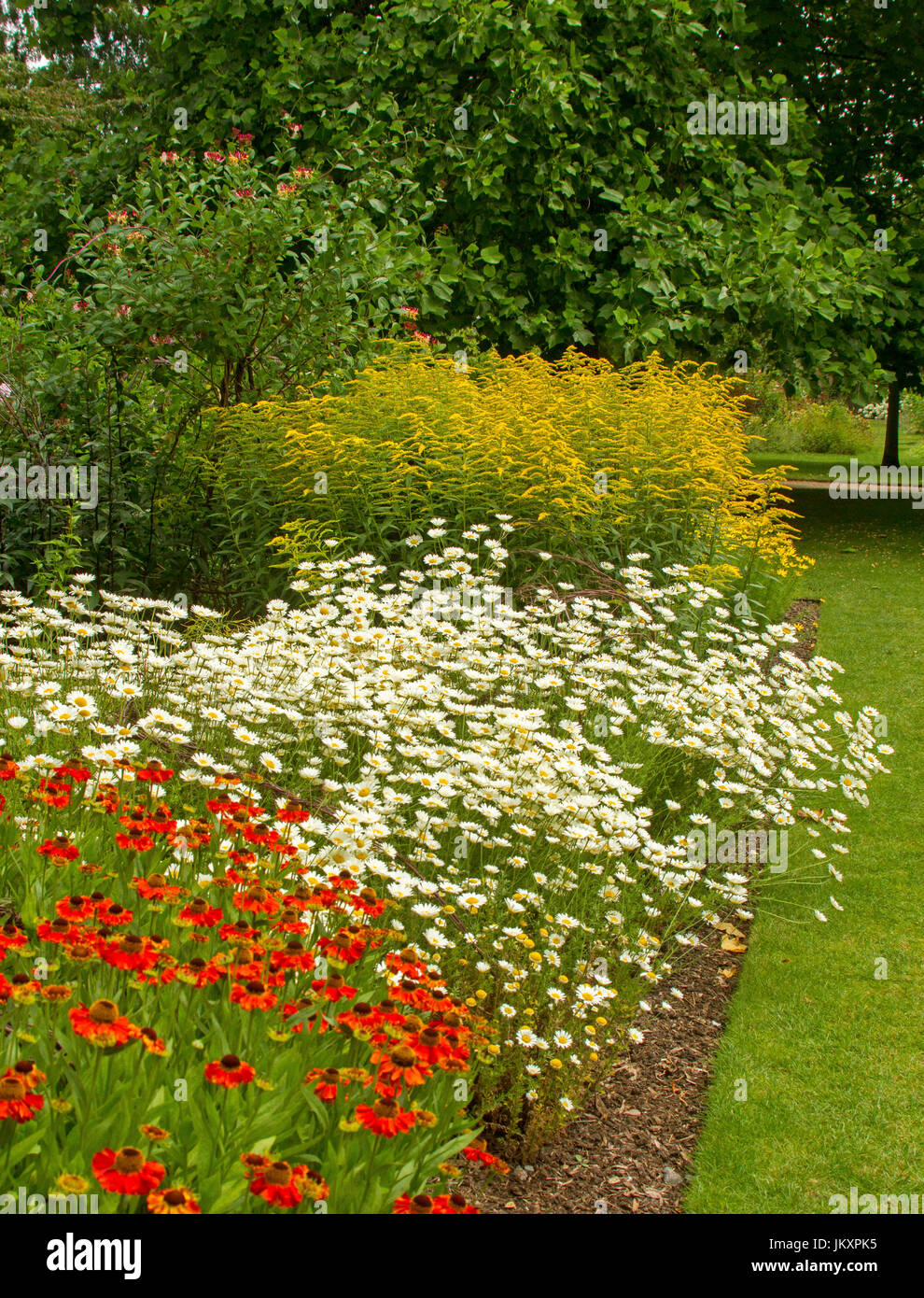Cottage garden with herbaceous border of summer flowering perennials at ...