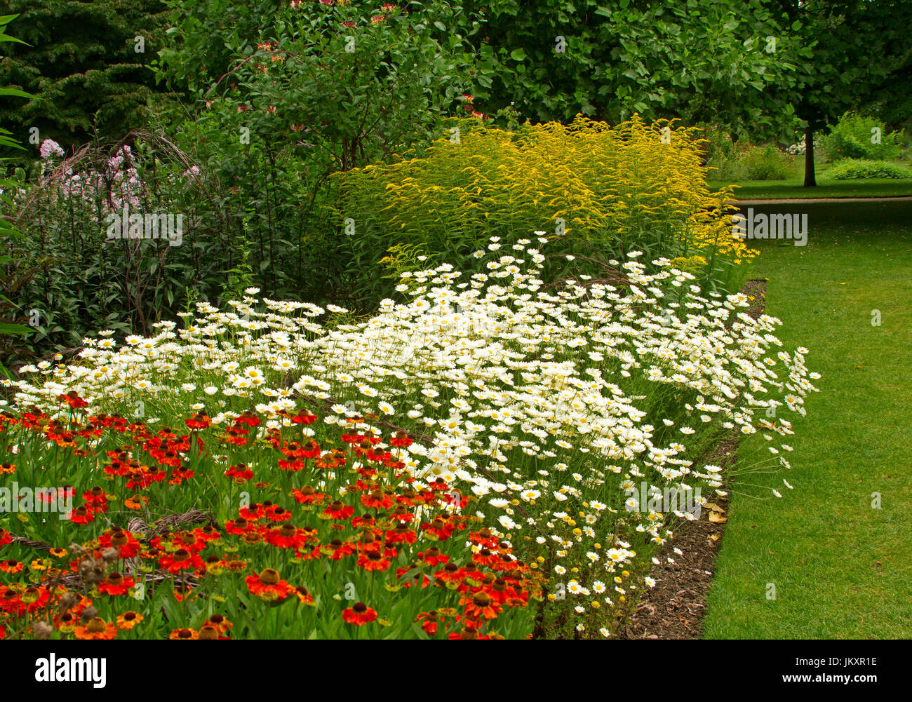 Cottage garden with herbaceous border of summer flowering perennials at ...