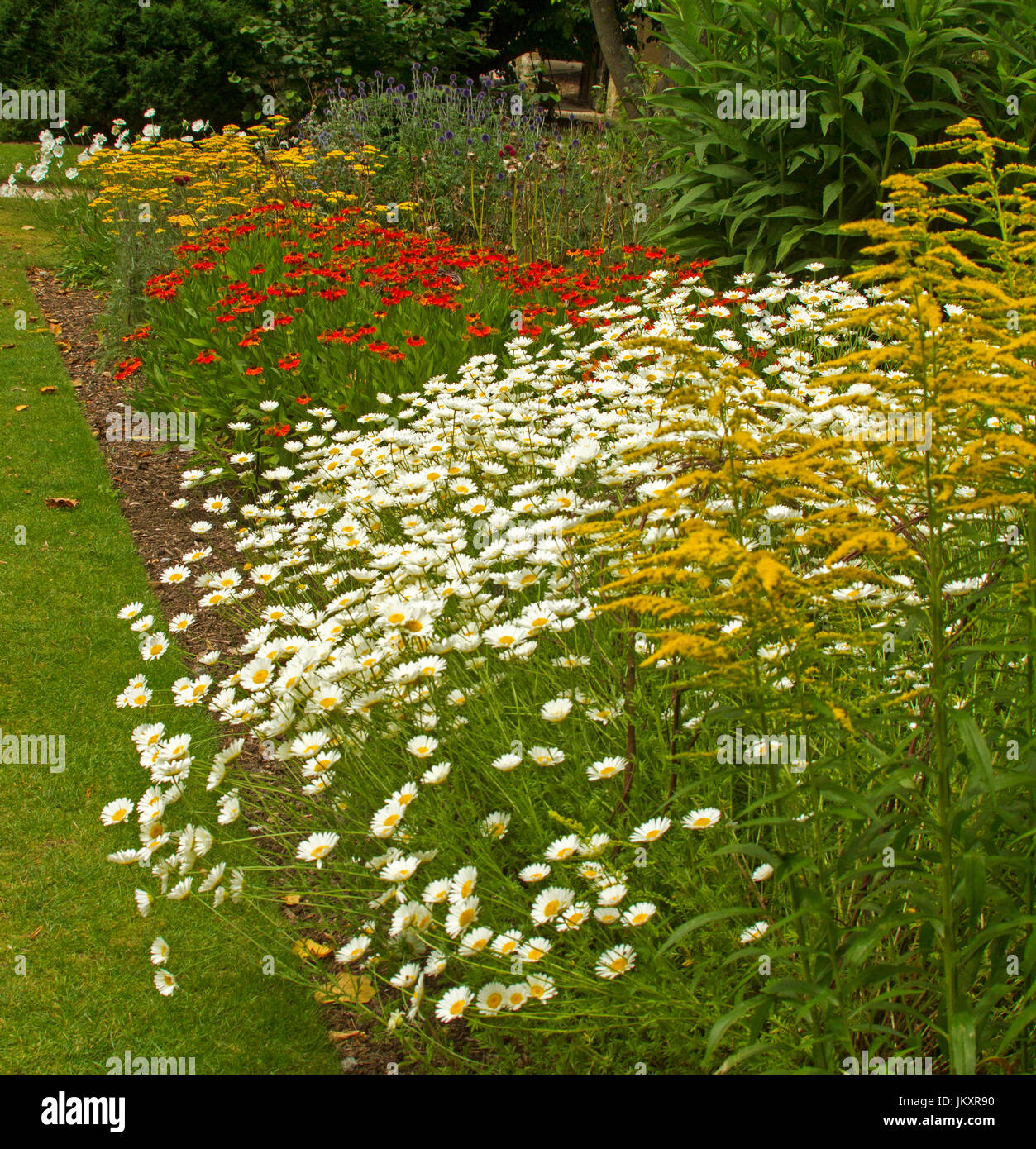 Cottage garden with herbaceous border of summer flowering perennials at ...