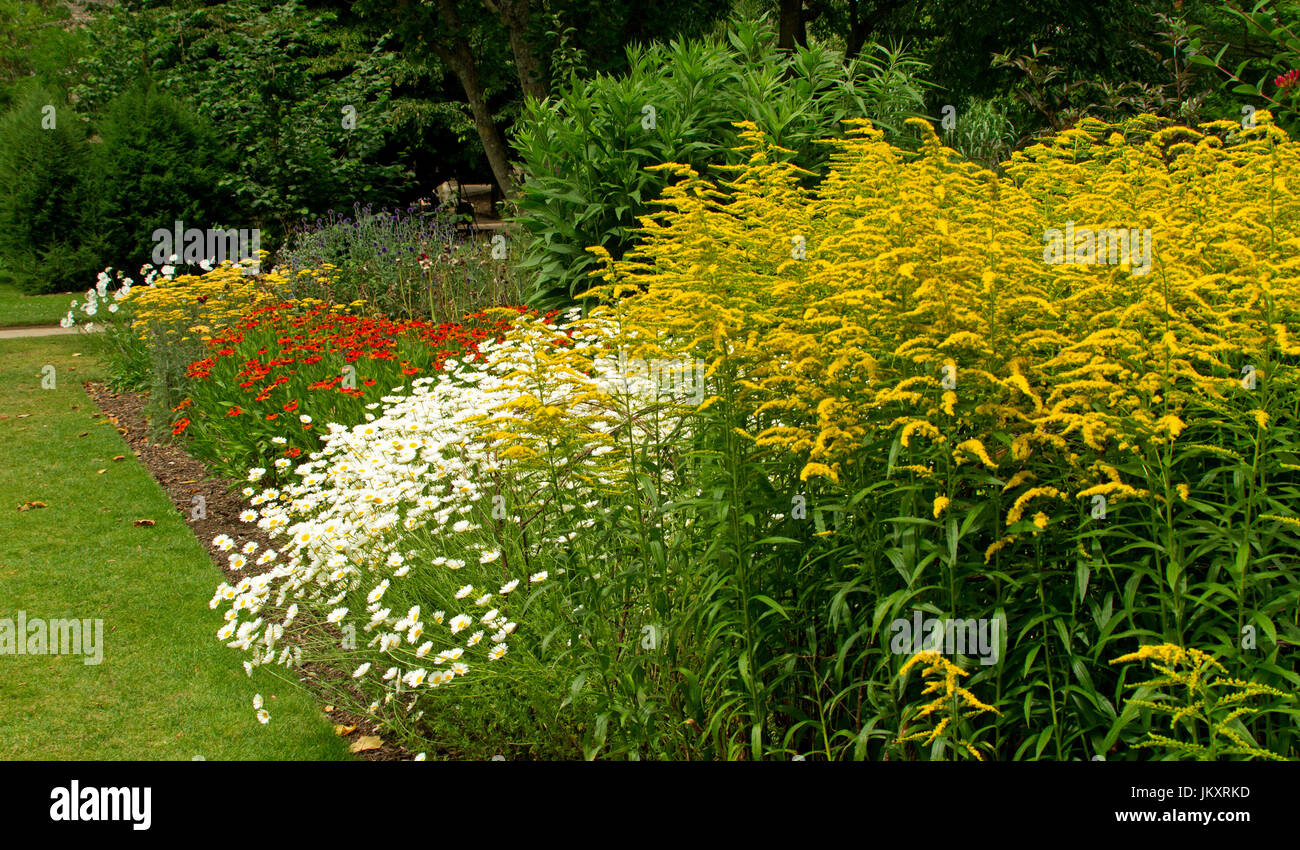 Cottage garden with herbaceous border of summer flowering perennials at ...