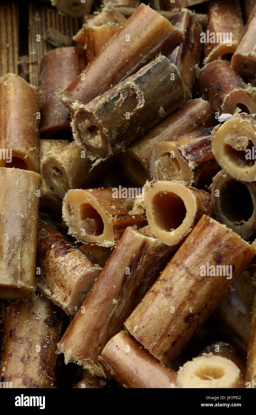Natural dog bones hires stock photography and images Alamy