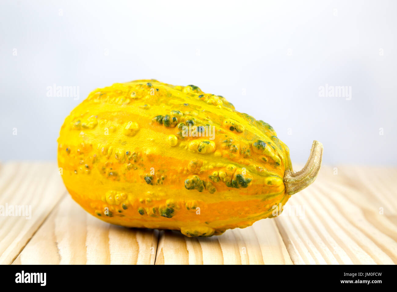 A single pumpkin (Delicata Squash) lies in front of a white background as a Cut-Outs Stock Photo