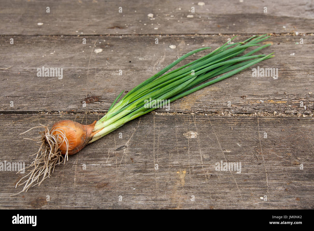 Spring onions are rich in vitamins,minerals and natural compound. Green