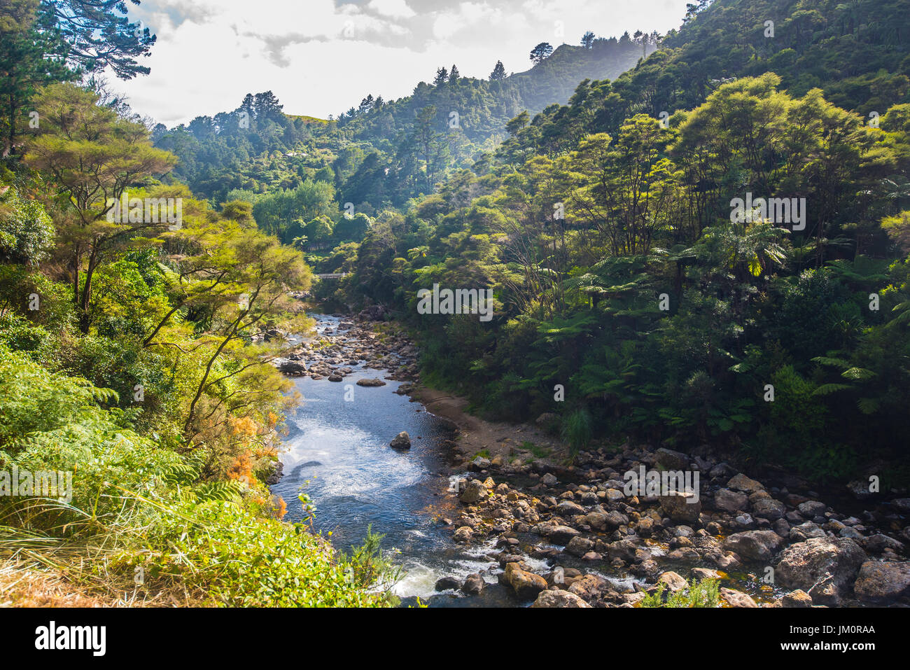 Karangahake Gorge with Waitawheta River flowing through the native rainforest Stock Photo