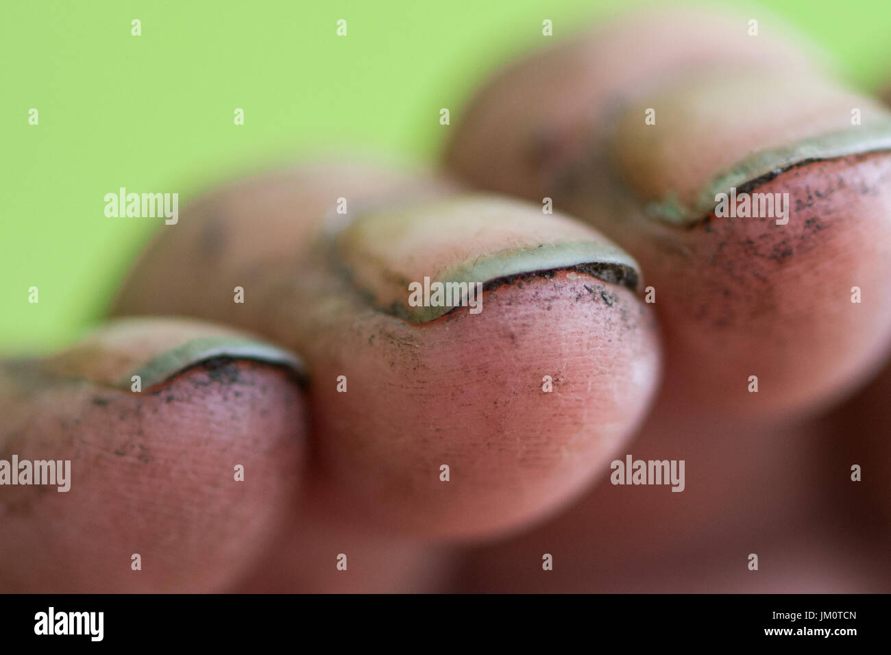 gardening hands with soil dirt under fingernails Stock Photo