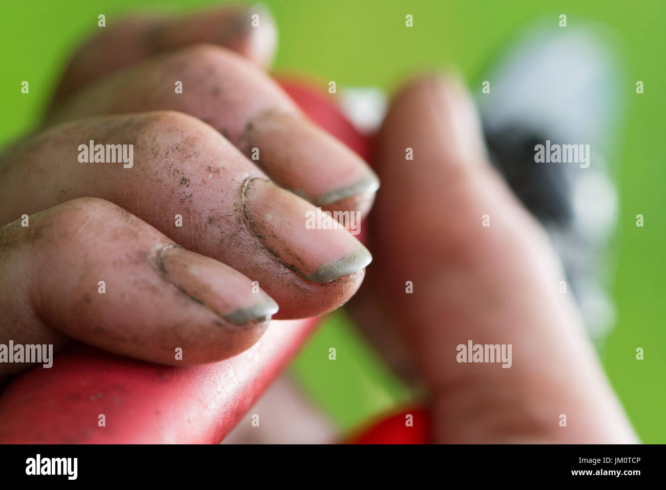 gardening hands with soil dirt under fingernails Stock Photo