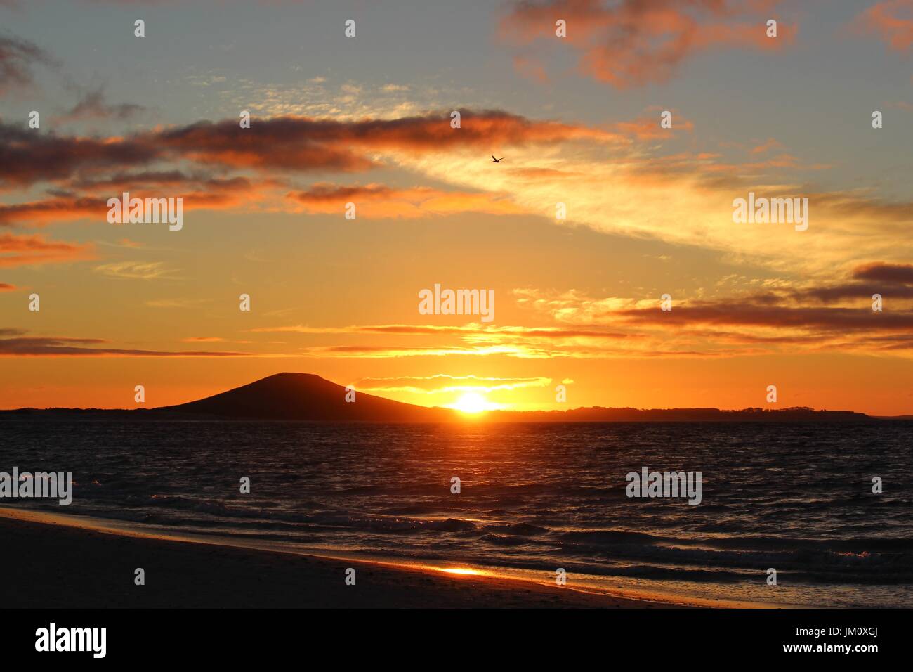 Beautiful golden beach time sunset hi-res stock photography and images ...